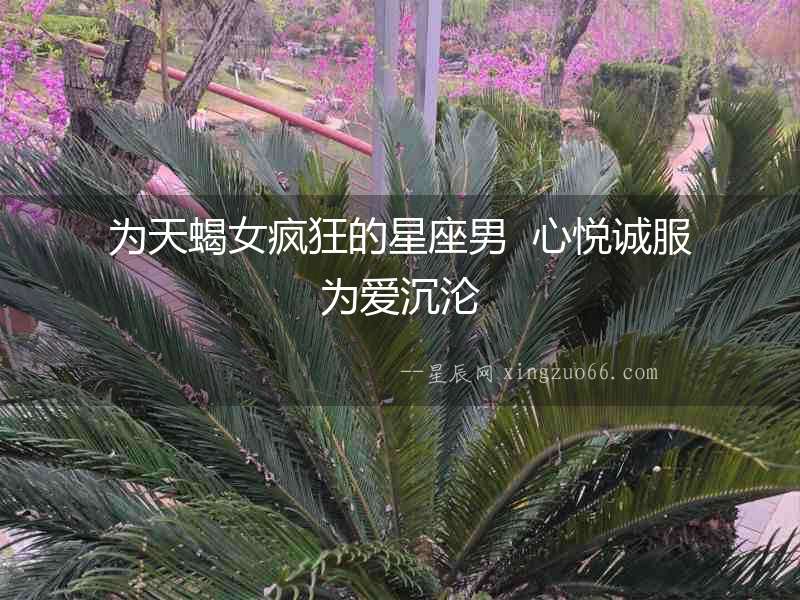 為天蝎女瘋狂的星座男  心悅誠服為愛沉淪