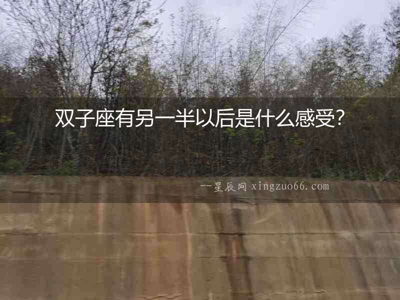 雙子座有另一半以后是什么感受？