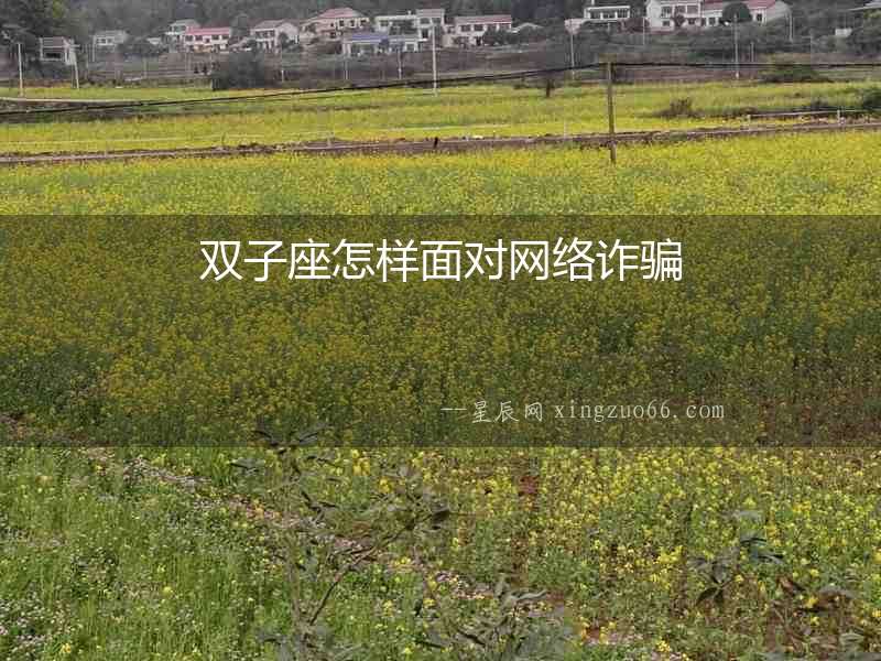 雙子座怎樣面對網絡詐騙