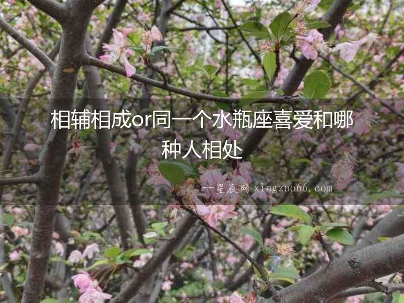 相輔相成or同一個(gè)水瓶座喜愛和哪種人相處