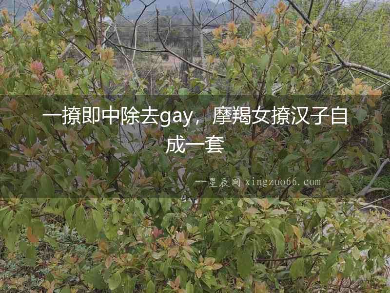 一撩即中除去gay，摩羯女撩漢子自成一套