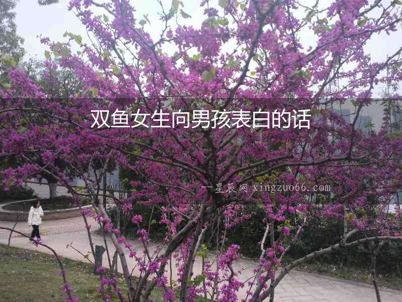 雙魚女生向男孩表白的話