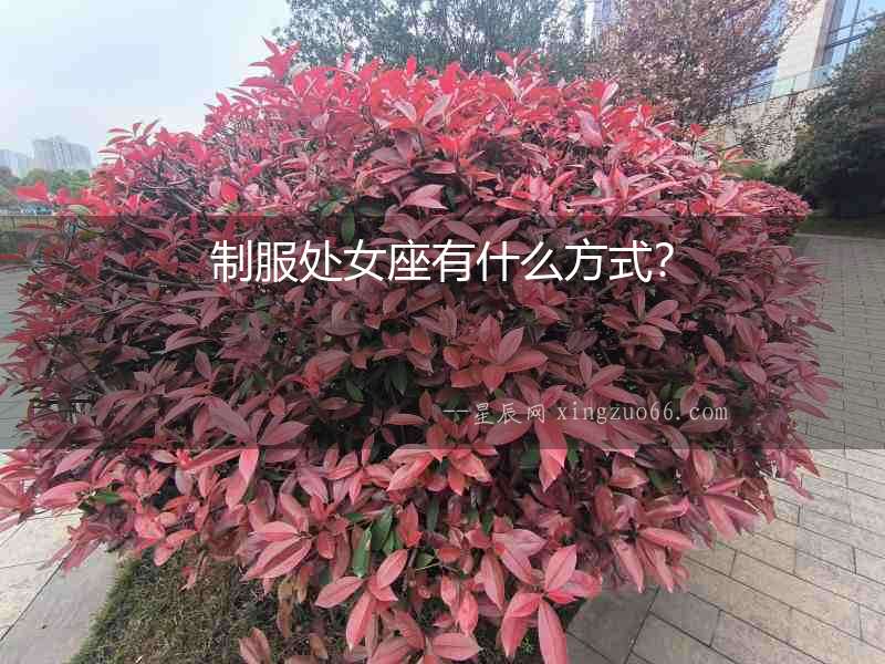 制服處女座有什么方式？