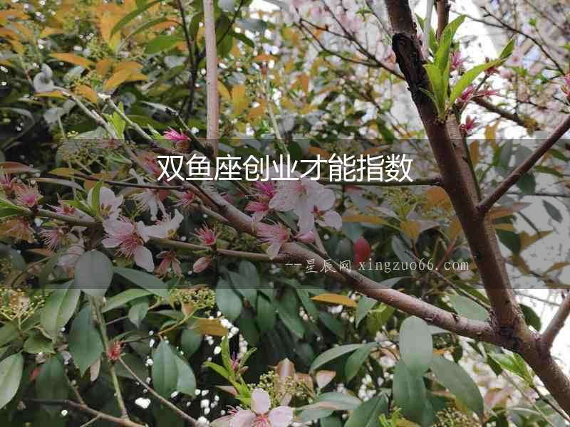 雙魚座創(chuàng)業(yè)才能指數(shù)