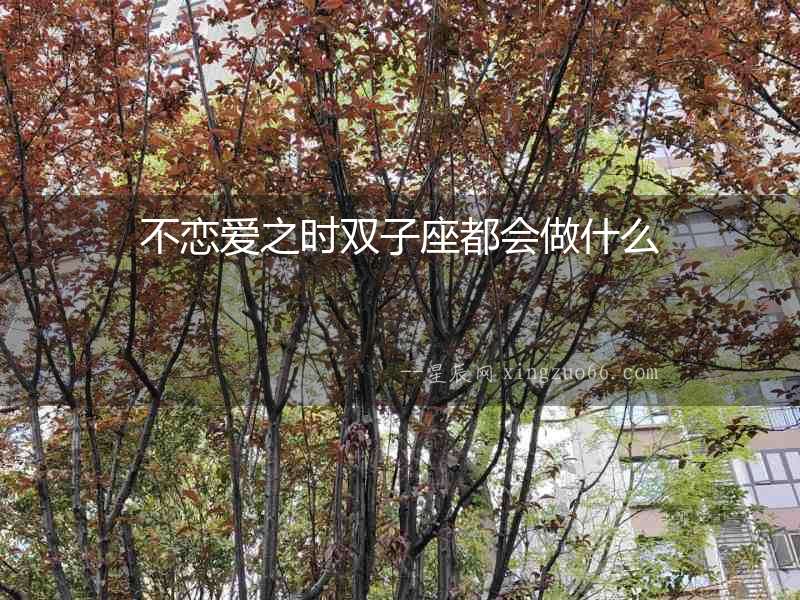 不戀愛之時雙子座都會做什么