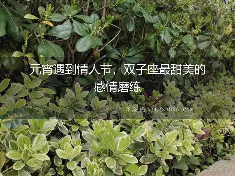 元宵遇到情人節，雙子座最甜美的感情磨練