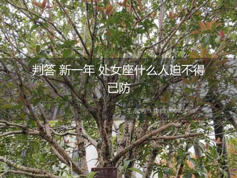 判答 新一年 處女座什么人迫不得已防