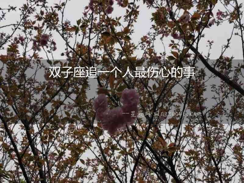 雙子座追一個(gè)人最傷心的事