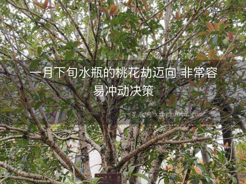 一月下旬水瓶的桃花劫邁向 非常容易沖動(dòng)決策