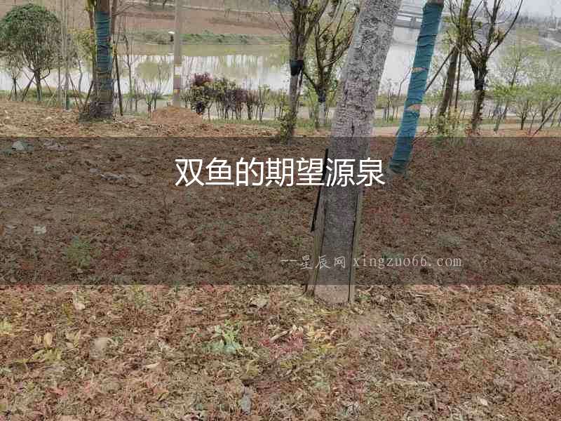 雙魚的期望源泉