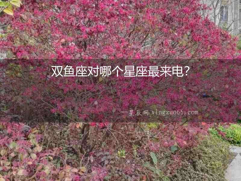 雙魚(yú)座對(duì)哪個(gè)星座最來(lái)電？