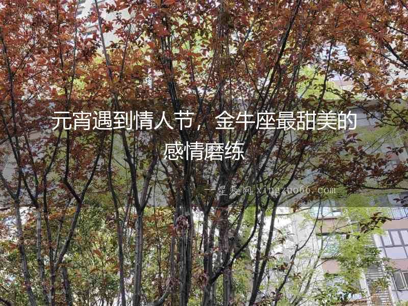 元宵遇到情人節(jié)，金牛座最甜美的感情磨練