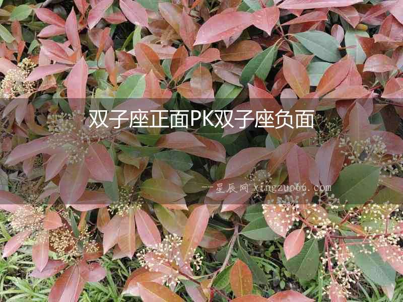 雙子座正面PK雙子座負面
