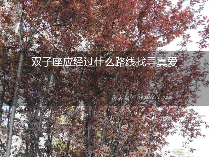雙子座應(yīng)經(jīng)過(guò)什么路線找尋真愛(ài)