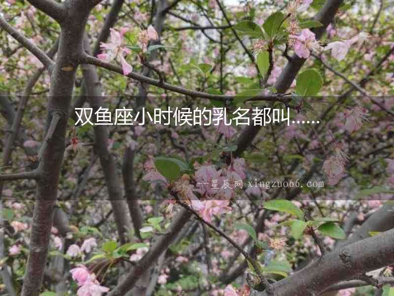 雙魚座小時候的乳名都叫......