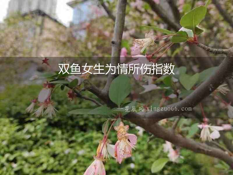 雙魚女生為情所傷指數