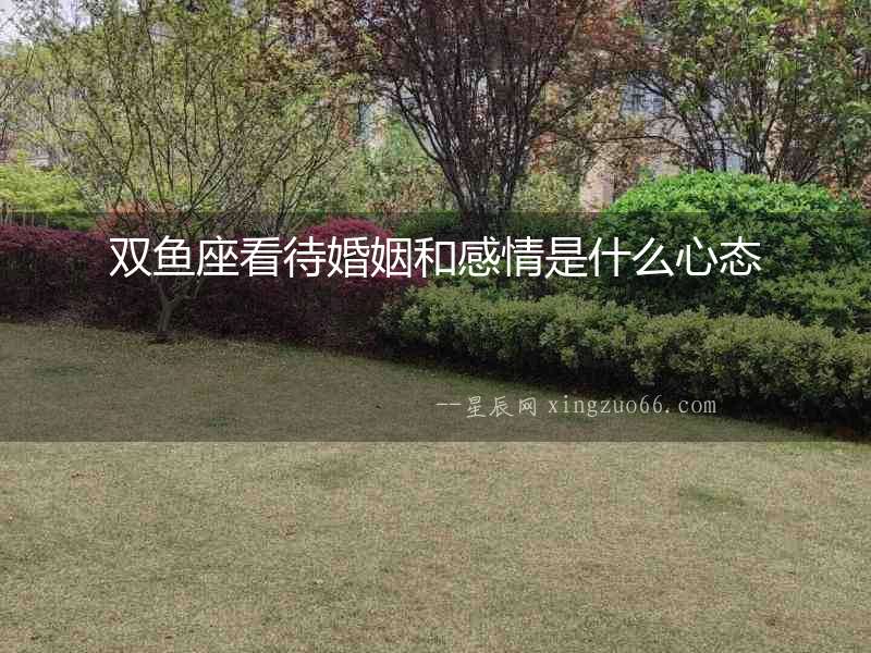 雙魚座看待婚姻和感情是什么心態
