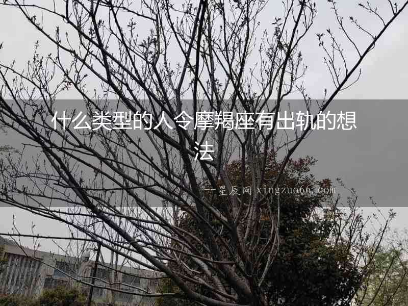 什么類型的人令摩羯座有出軌的想法