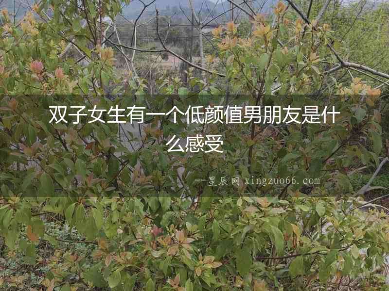 雙子女生有一個低顏值男朋友是什么感受