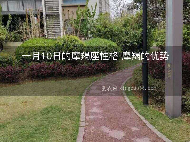 一月10日的摩羯座性格 摩羯的優勢