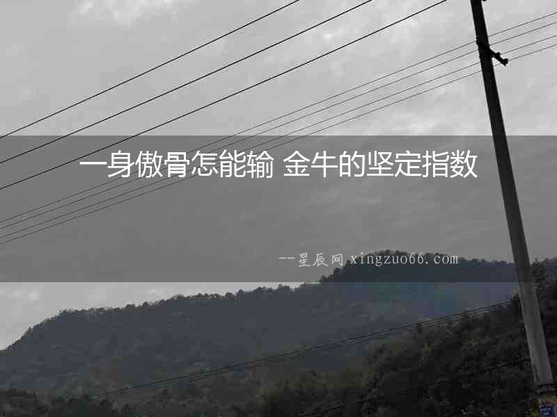 一身傲骨怎能輸 金牛的堅定指數