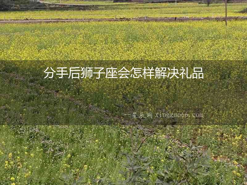 分手后獅子座會怎樣解決禮品