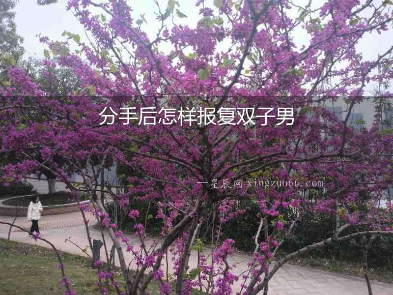 分手后怎樣報復雙子男