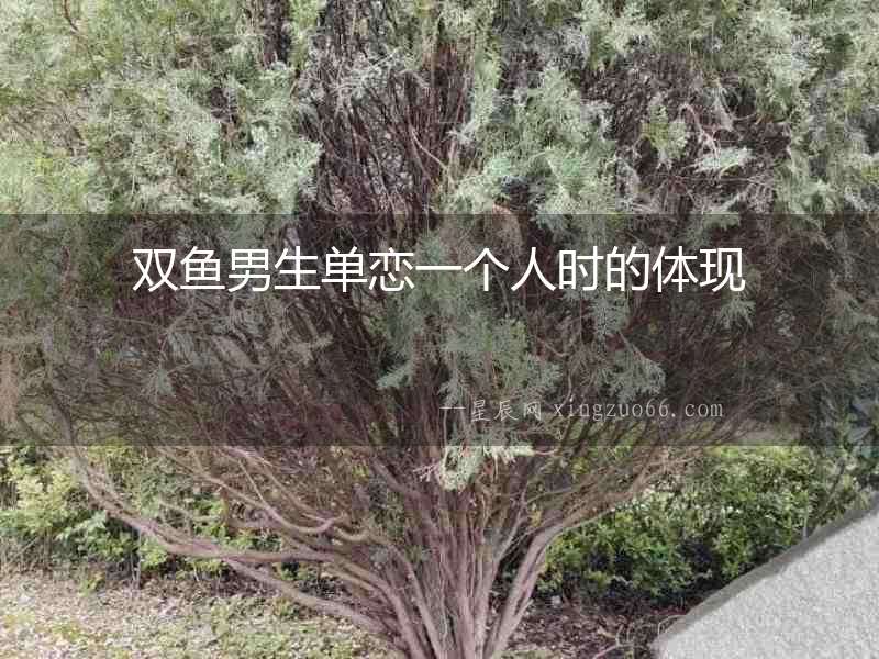雙魚男生單戀一個人時的體現