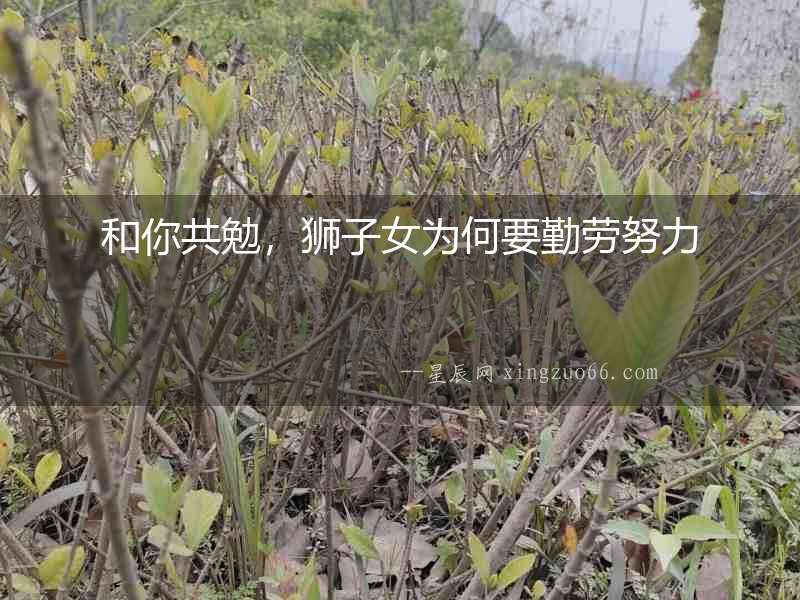 和你共勉，獅子女為何要勤勞努力