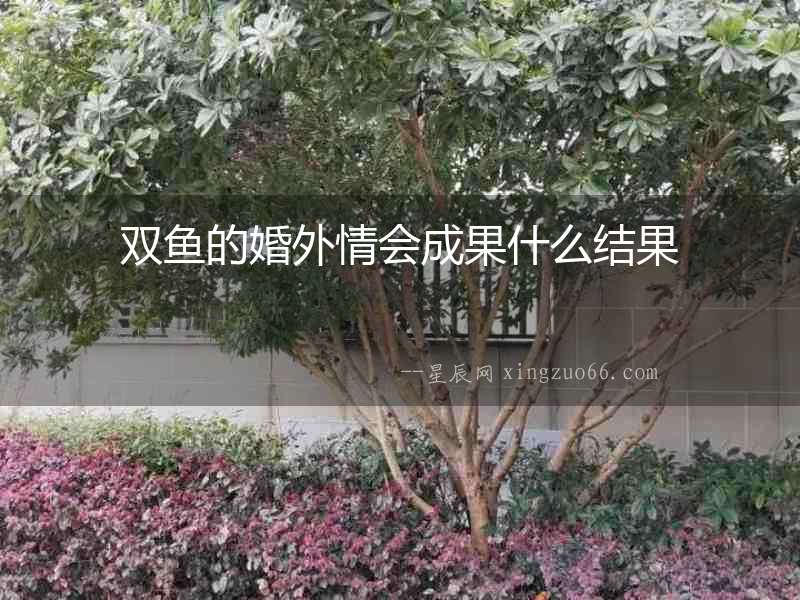 雙魚的婚外情會成果什么結(jié)果