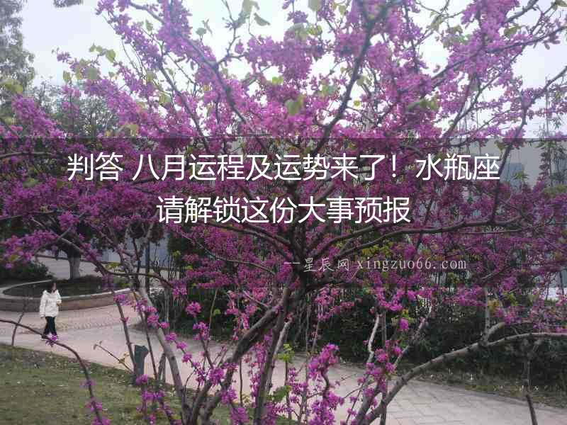 判答 八月運程及運勢來了！水瓶座請解鎖這份大事預報