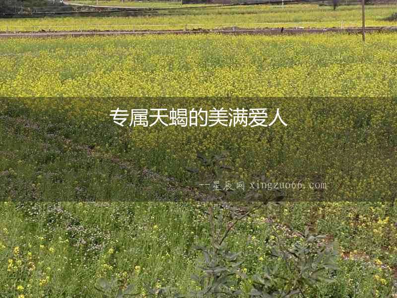 專屬天蝎的美滿愛人