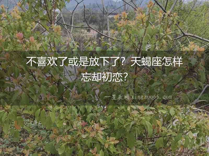 不喜歡了或是放下了？天蝎座怎樣忘卻初戀？