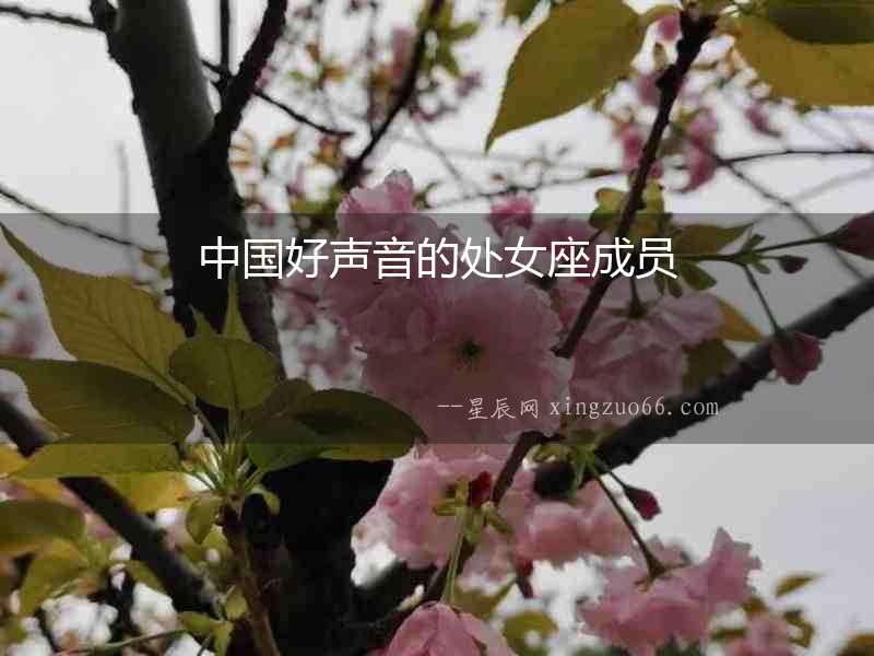 中國好聲音的處女座成員