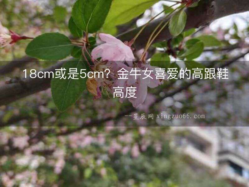 18cm或是5cm？金牛女喜愛的高跟鞋高度