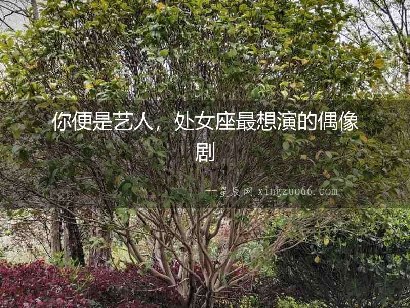 你便是藝人，處女座最想演的偶像劇