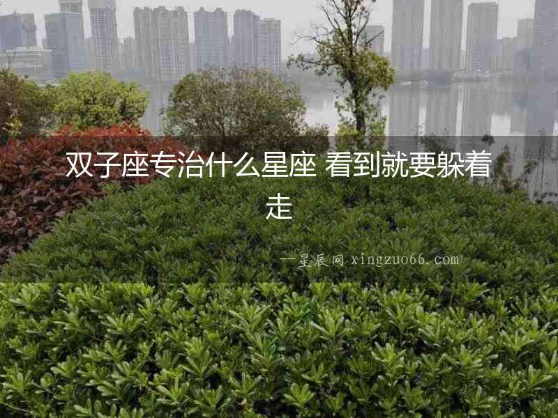 雙子座專治什么星座 看到就要躲著走