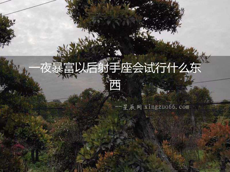一夜暴富以后射手座會試行什么東西