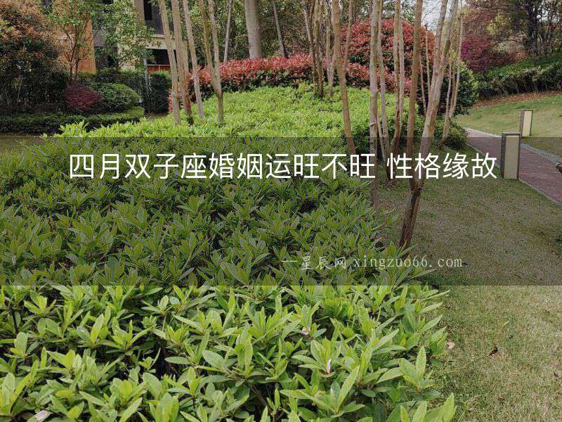 四月雙子座婚姻運旺不旺 性格緣故