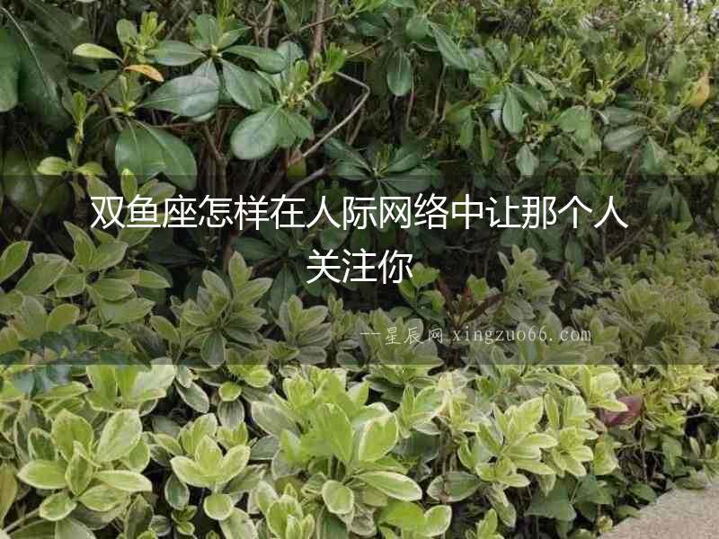 雙魚座怎樣在人際網(wǎng)絡(luò)中讓那個人關(guān)注你