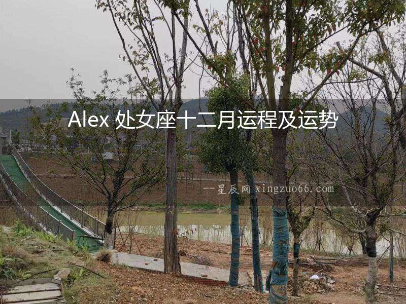 Alex 處女座十二月運(yùn)程及運(yùn)勢