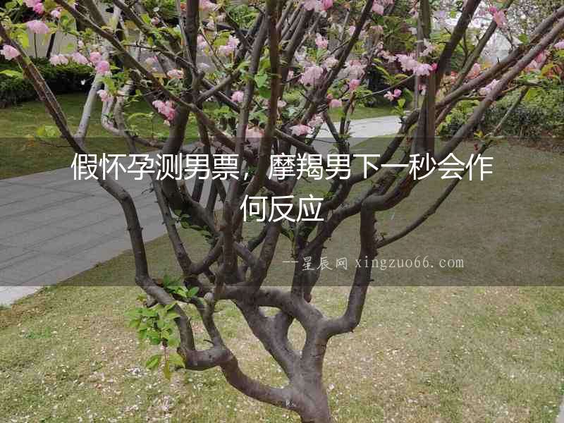 假懷孕測男票，摩羯男下一秒會作何反應