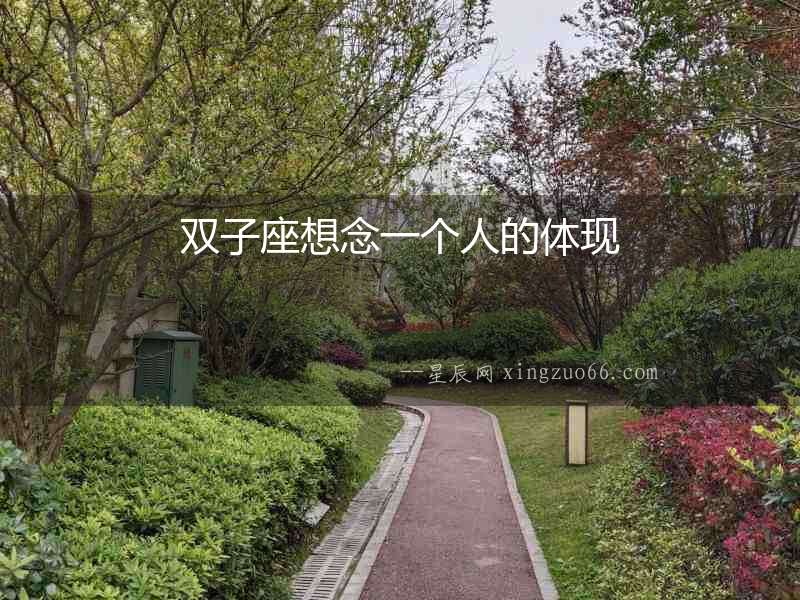 雙子座想念一個人的體現