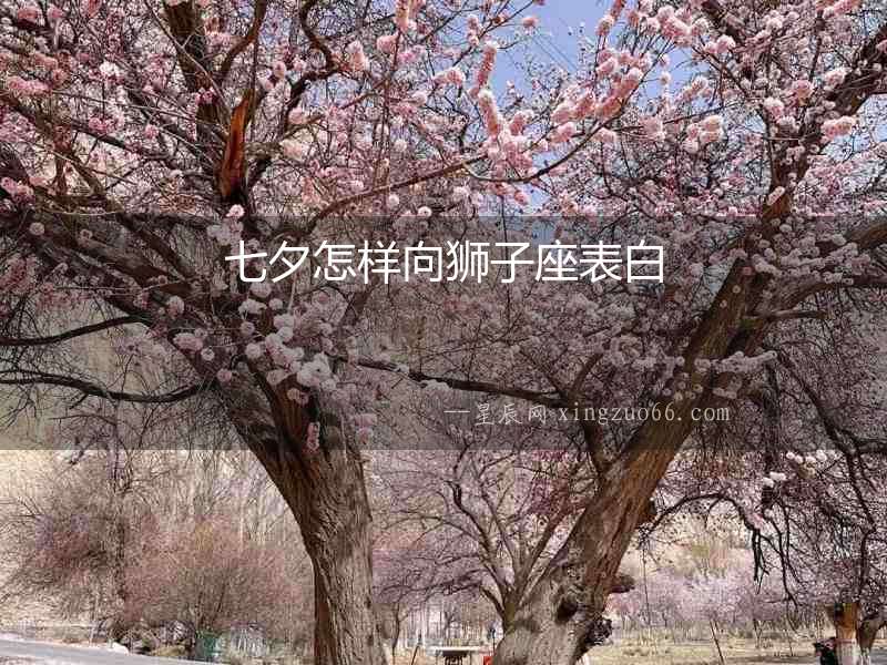 七夕怎樣向獅子座表白