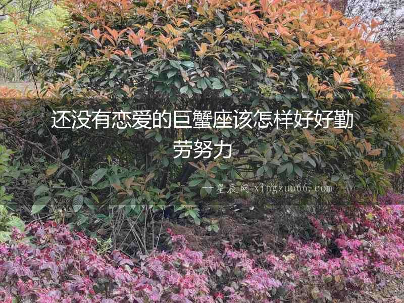 還沒有戀愛的巨蟹座該怎樣好好勤勞努力