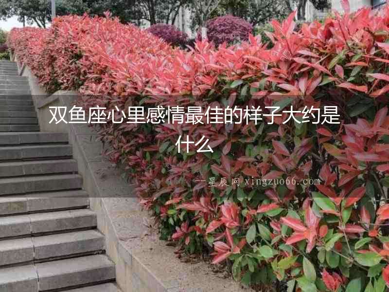 雙魚座心里感情最佳的樣子大約是什么