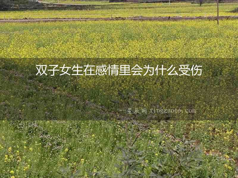 雙子女生在感情里會為什么受傷