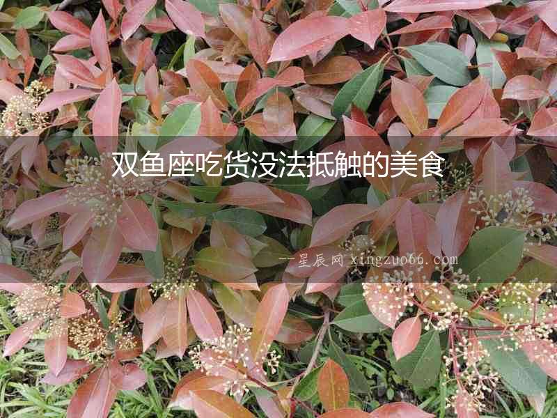 雙魚座吃貨沒法抵觸的美食