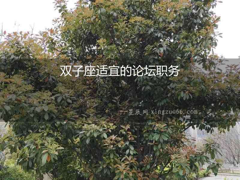 雙子座適宜的論壇職務