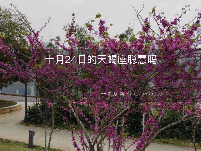 十月24日的天蝎座聰慧嗎